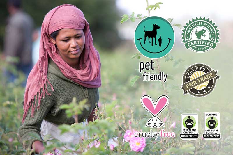 Donacije i dobrotvorne akcije – dobar glas daleko se čuje